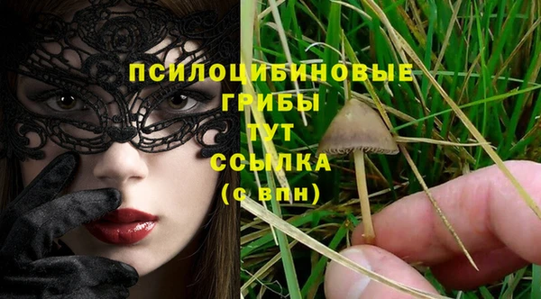 молекула духа Богородицк