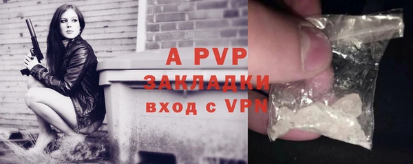 эйфоретик Белокуриха