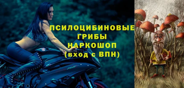 амф Белоозёрский