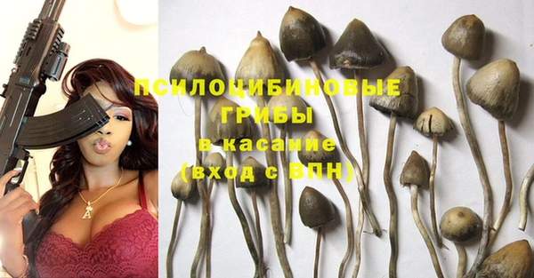 дживик Богданович