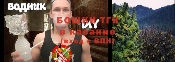 a pvp Бородино