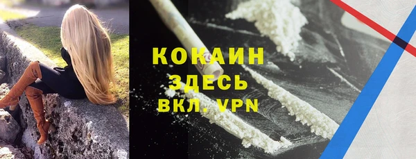 эйфоретик Белокуриха