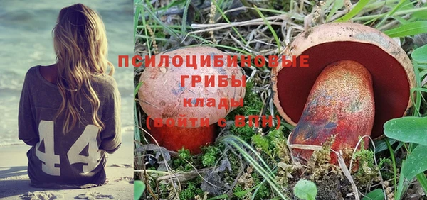 mix Богородск