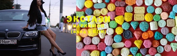 молекула духа Богородицк