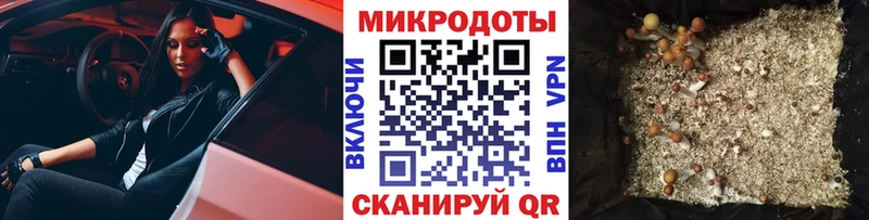Галлюциногенные грибы прущие грибы  Трёхгорный 